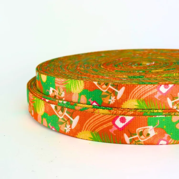 Smycz przepinana Beach PAWty 200cm 20mm