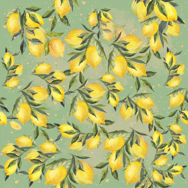 Szelki bezuciskowe PRO-FIT™ SIGNORA LIMONE XS|20mm