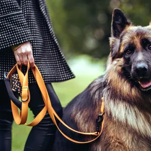 Smycz z pokrowcem na kupworki Dog's Profit