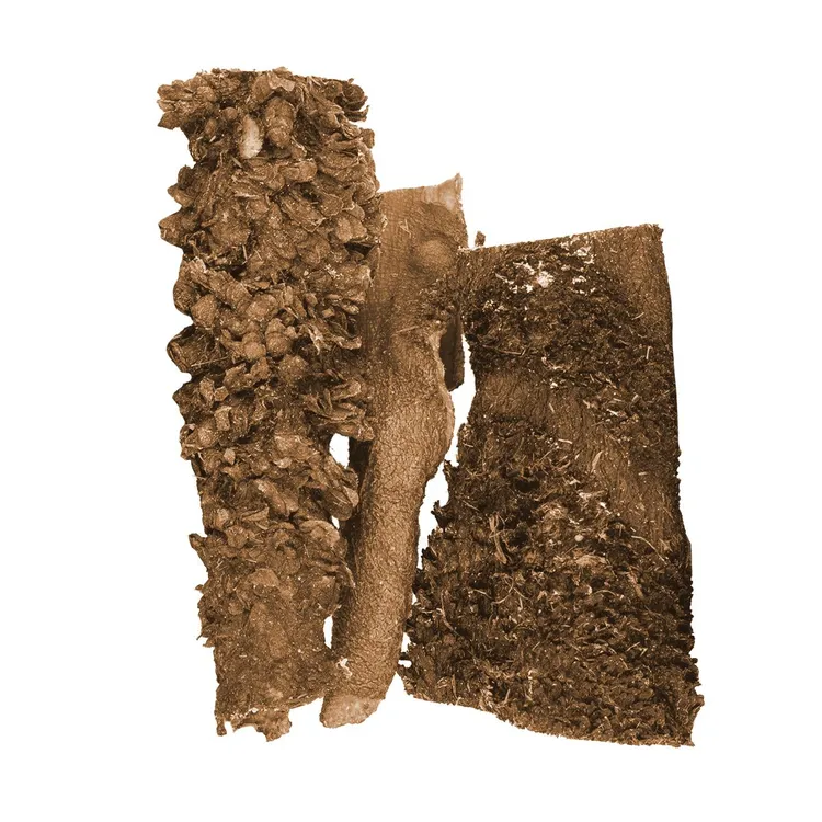 Dolina Noteci Natural Treats Veal Rumen żwacze cielęce przysmak dla psa 100 g