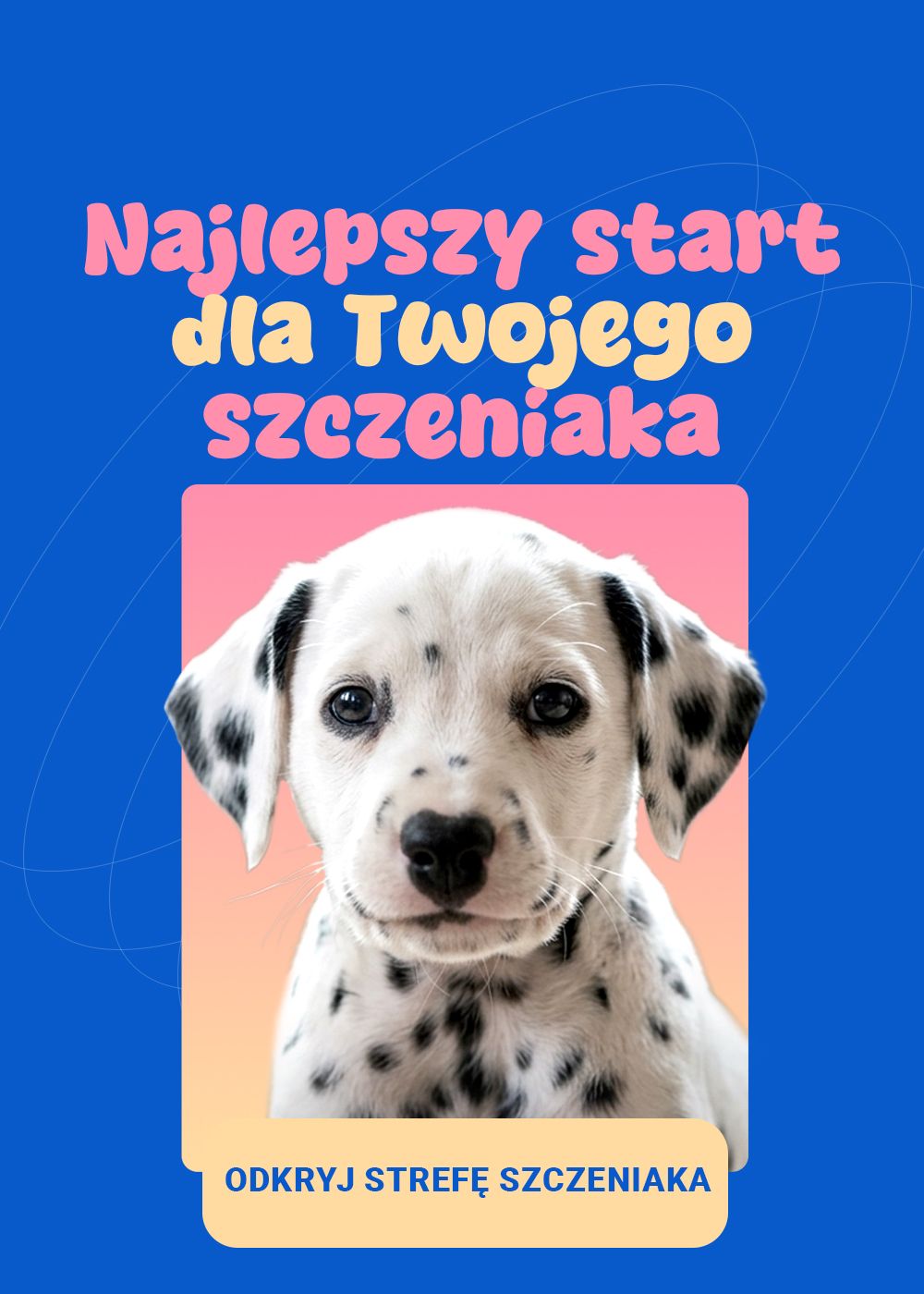 Poznaj nową strefę szczeniaka