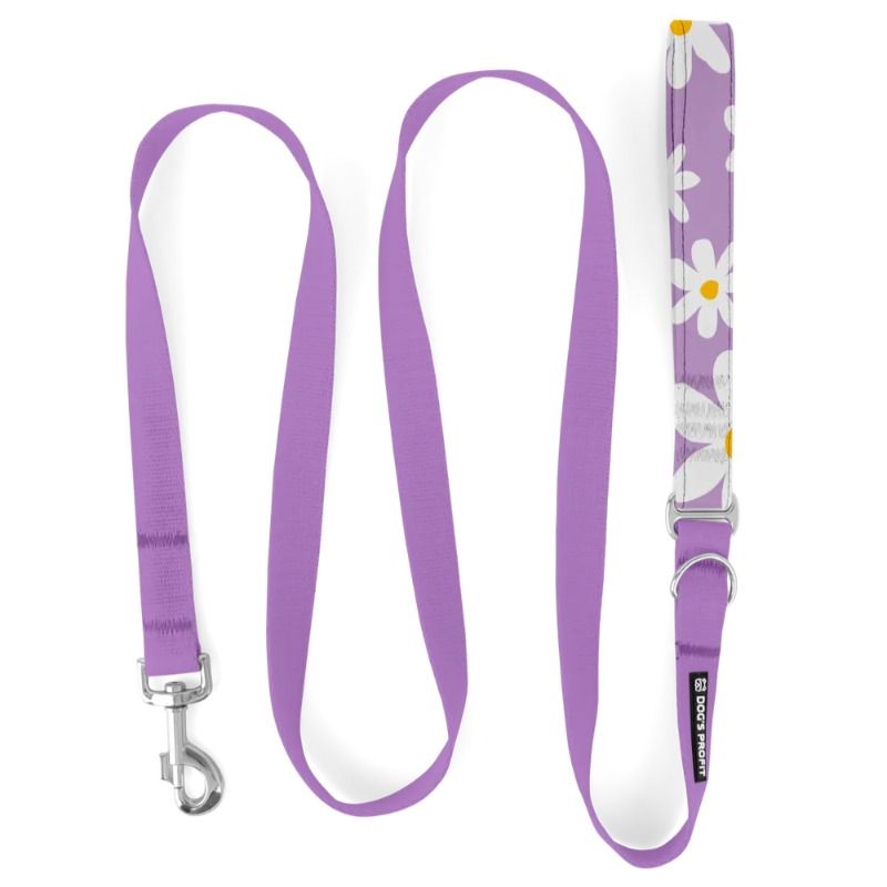 Smycz HYBRID wrzosowy jak wrzos + daisypurple