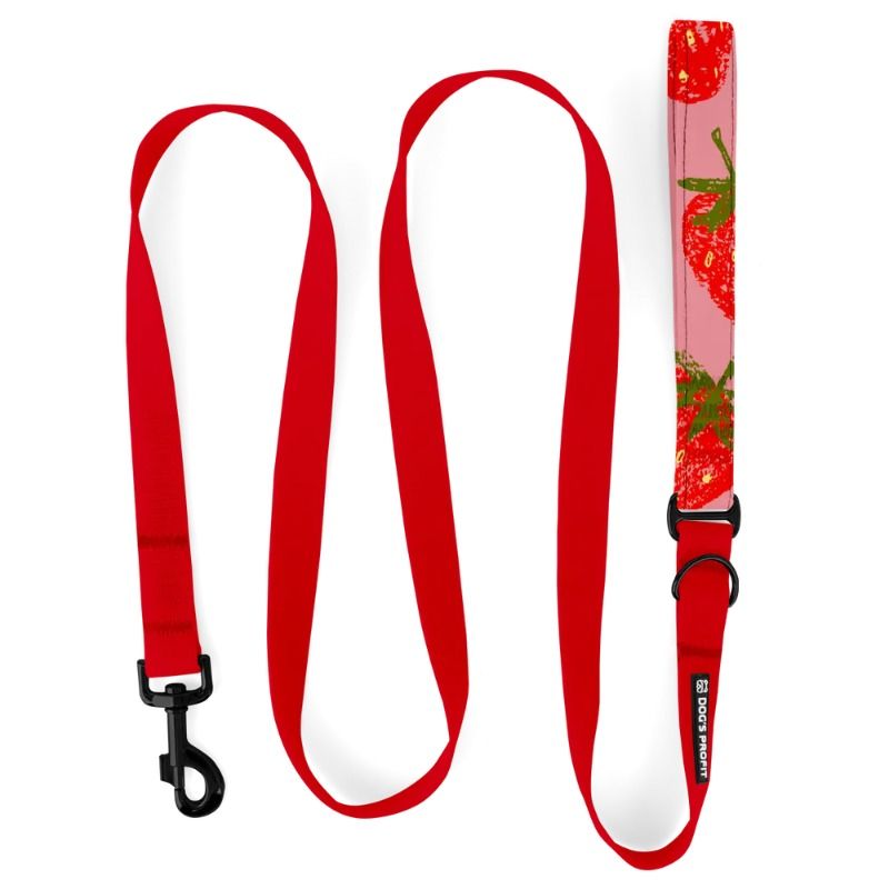 Smycz HYBRID czerwony jak cegła + Fragola