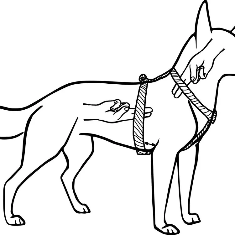 Szelki typu guard RÓŻOWE JAK SIĘ PATRZY S|20mm