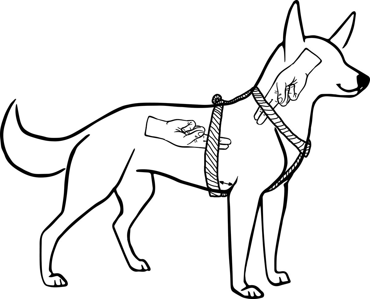 Szelki typu guard CZERWONE JAK CEGŁA S|20mm