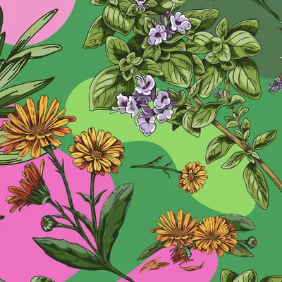 Botanic