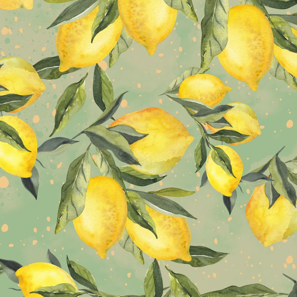 Szelki typu guard SIGNORA LIMONE S|20mm