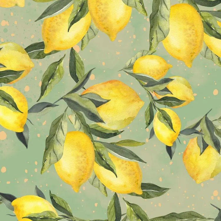 Szelki typu guard SIGNORA LIMONE S|20mm