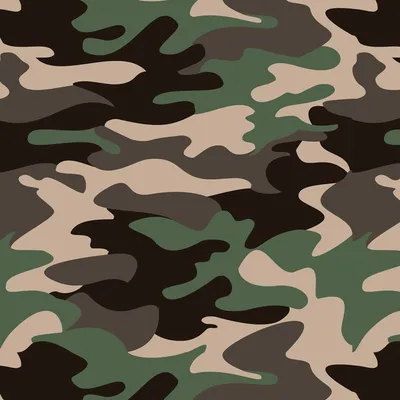 Za mundurem suczki sznurem