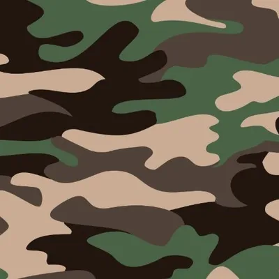 Za mundurem suczki sznurem