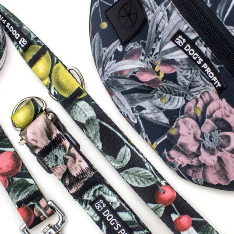 Smycz miejska RETRO 150cm 20mm