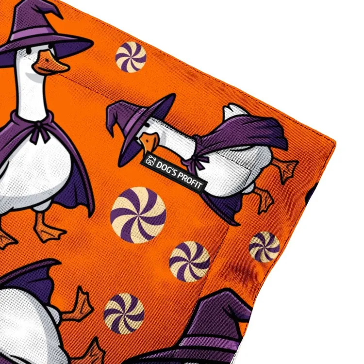 Mata dla psa CUKIEREK ALBO GĘŚ XS/S (50x70cm)