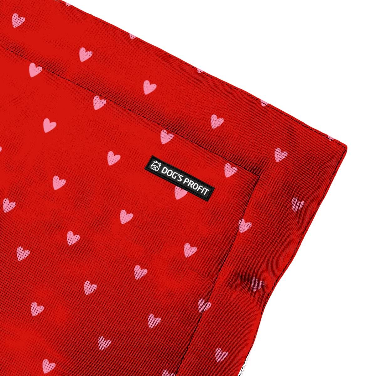 Mata dla psa Love story XS/S (50x70cm)