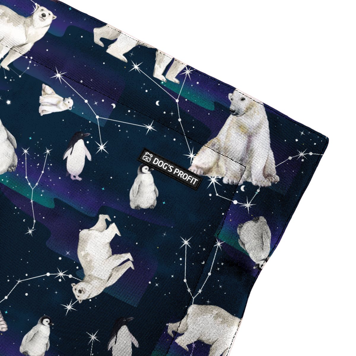 Mata dla psa EKSPRES POLARNY XS/S