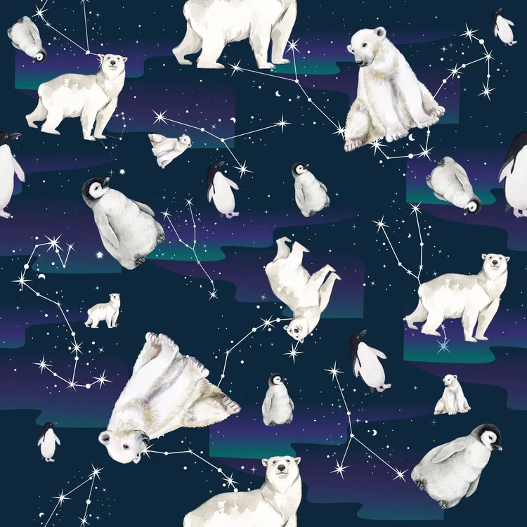 Obroża Ekspres Polarny S|20mm