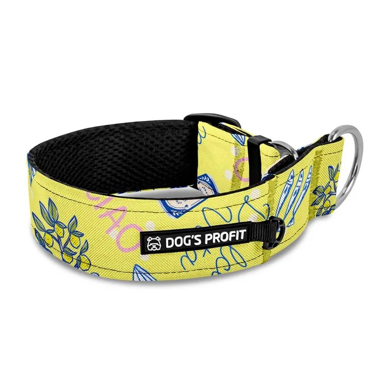 Obroża półzaciskowa dla charta Ciao ragazzi! XS|25mm (25-30cm)
