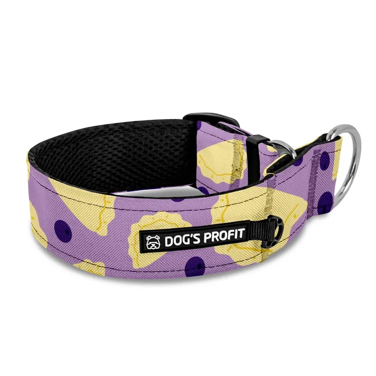 Obroża półzaciskowa dla charta Pierre Dogi XS|25mm (25-30cm)