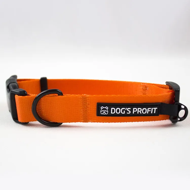 Obroża AMARILLO S | 20mm