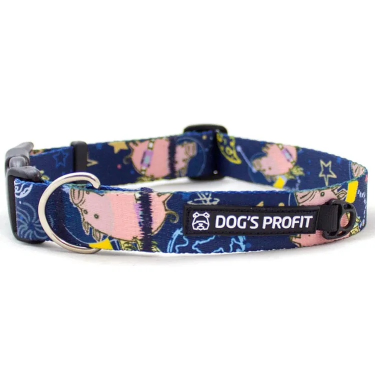 Obroża ASTRO PIG S | 20mm