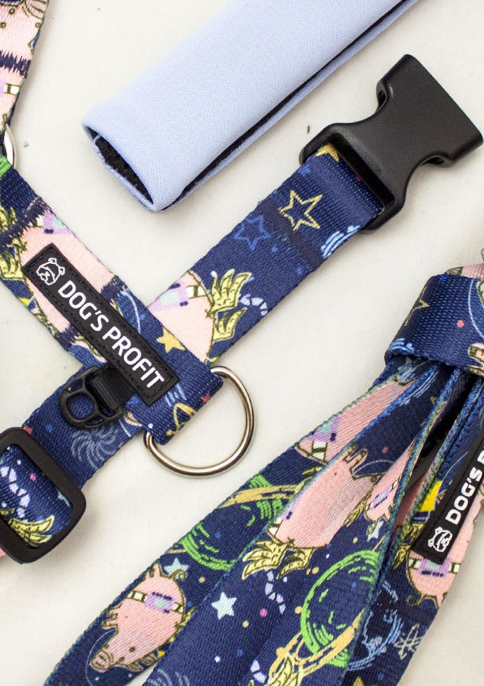 Obroża ASTRO PIG S | 20mm