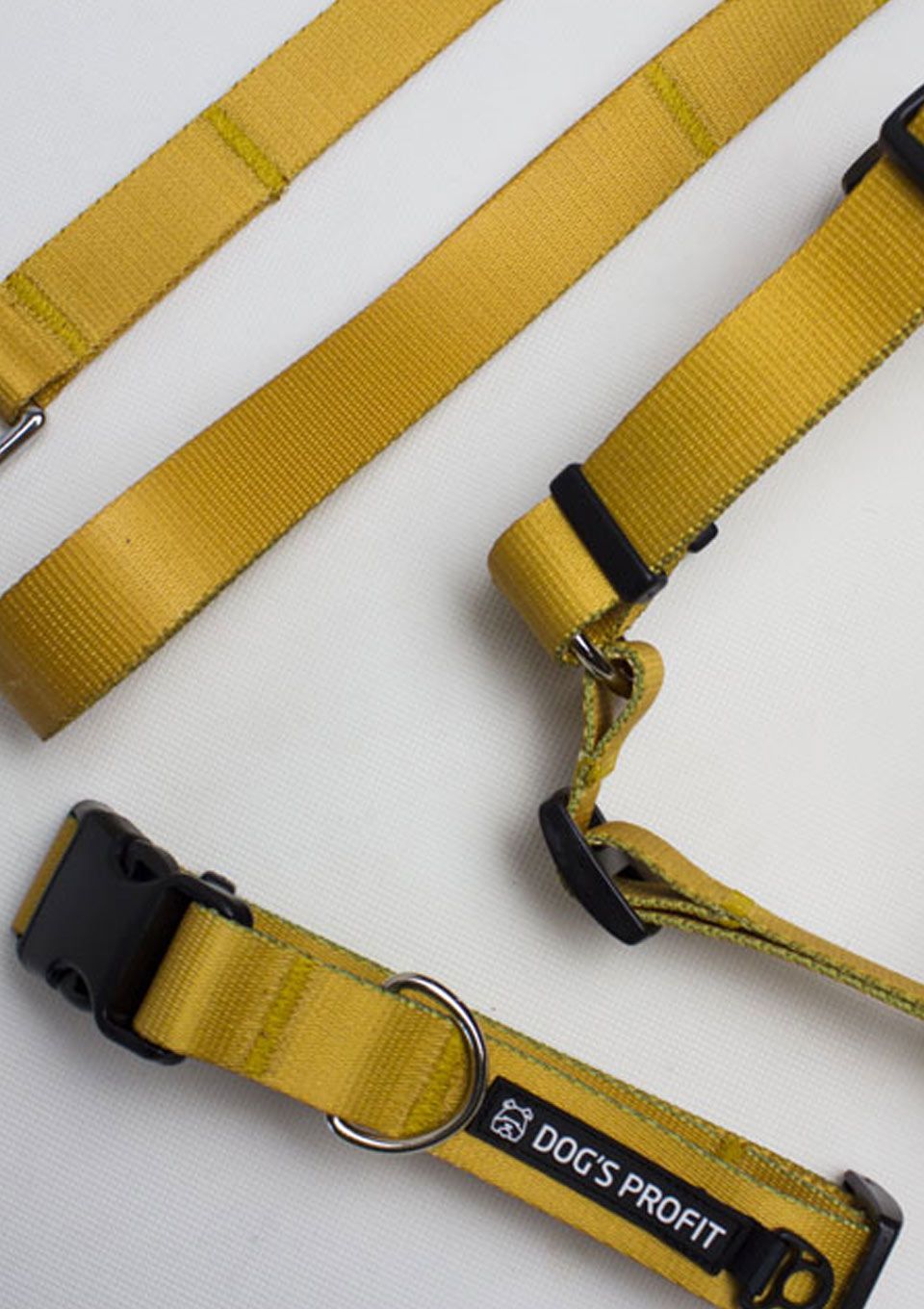 Obroża CARAMEL S | 20mm