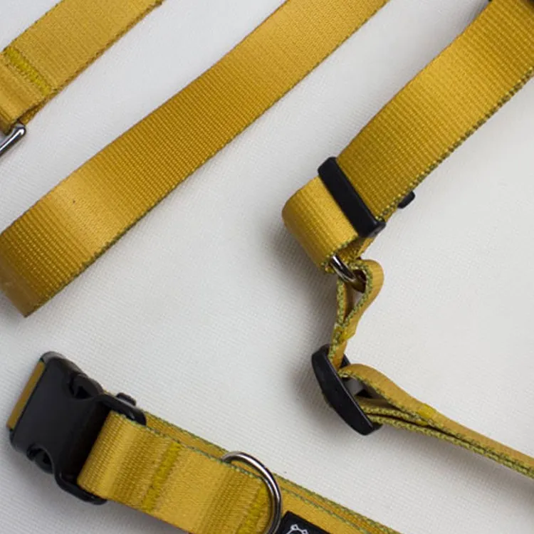 Obroża CARAMEL S | 20mm