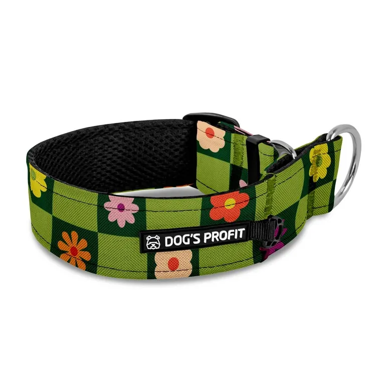 Obroża półzaciskowa dla charta Boogie XS|25mm (25-30cm)