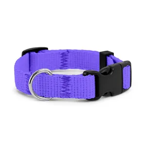 Obroża dla szczeniaka BŁĘKITNA JAK JEGO OCZY