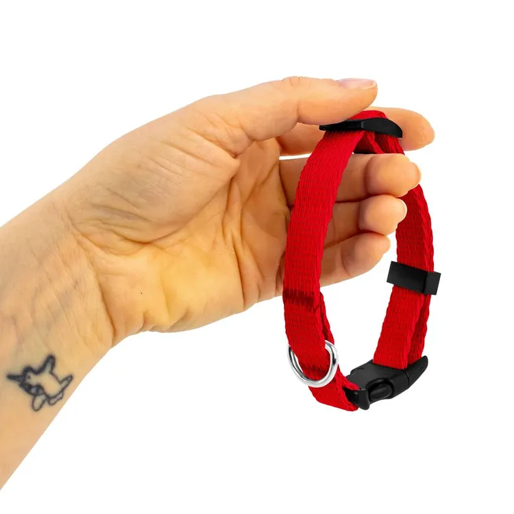 Obroża dla szczeniaka CZERWONA JAK CEGŁA