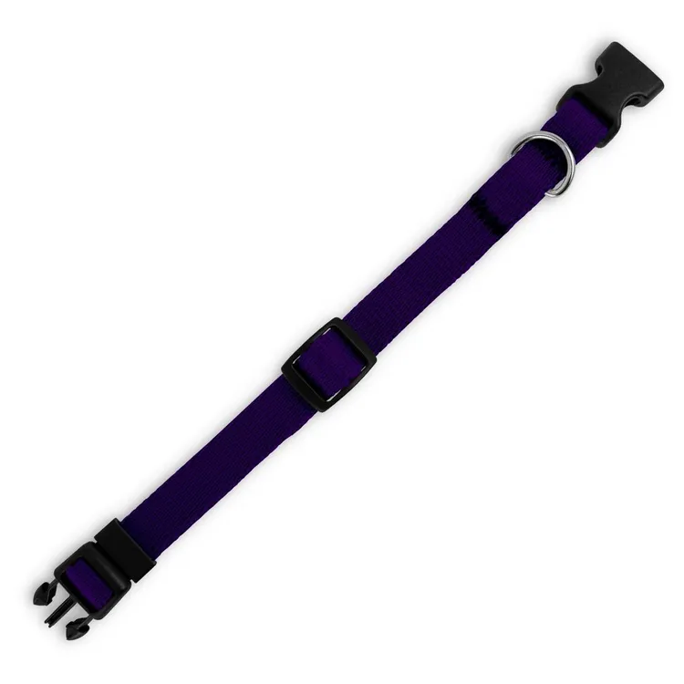 Obroża dla szczeniaka FIOLETOWA JAK JAGODZIANKI