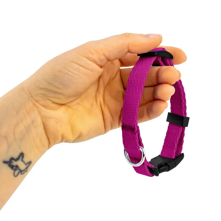 Obroża dla szczeniaka RÓŻOWA JAK SIĘ PATRZY