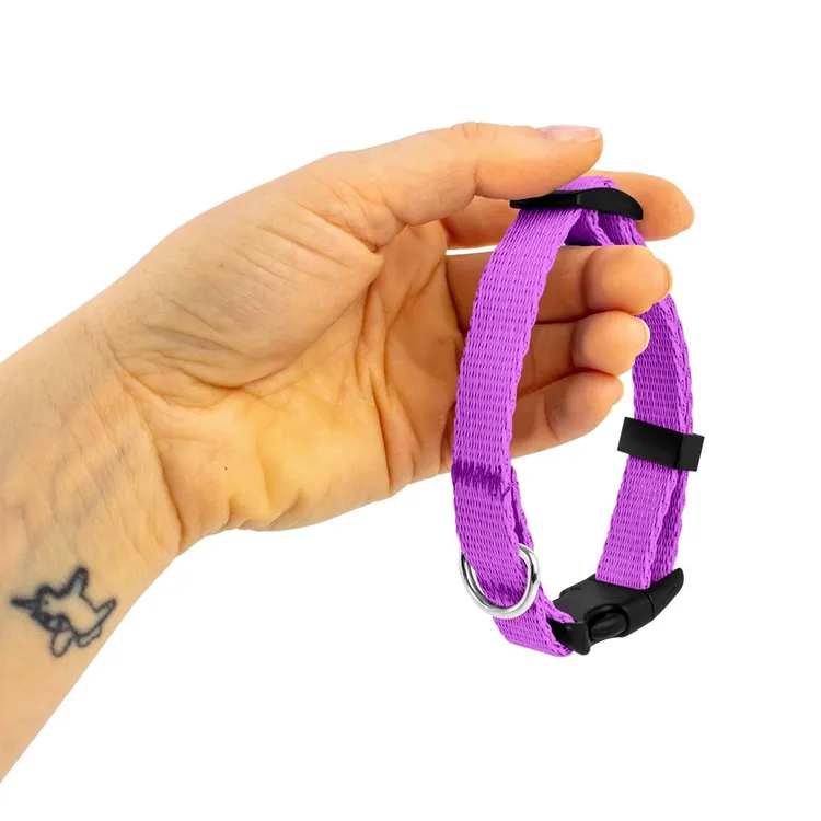 Obroża dla szczeniaka WRZOSOWA JAK WRZOS