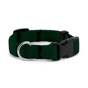 Obroża dla szczeniaka ZIELONA JAK BUTELKA