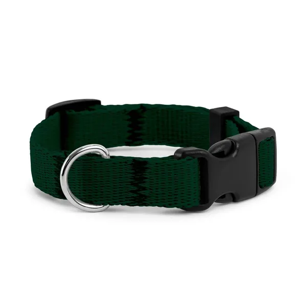 Obroża dla szczeniaka ZIELONA JAK BUTELKA