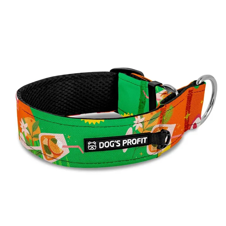 Obroża półzaciskowa dla charta Beach PAWty XS|25mm (25-30cm)