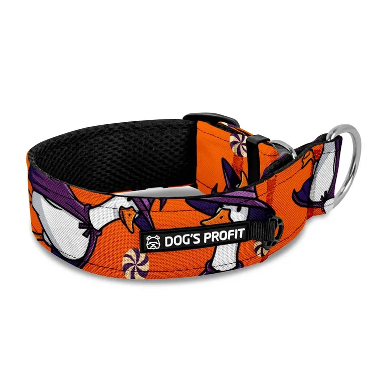 Obroża półzaciskowa dla charta CUKIEREK ALBO GĘŚ XS|25mm (25-30cm)