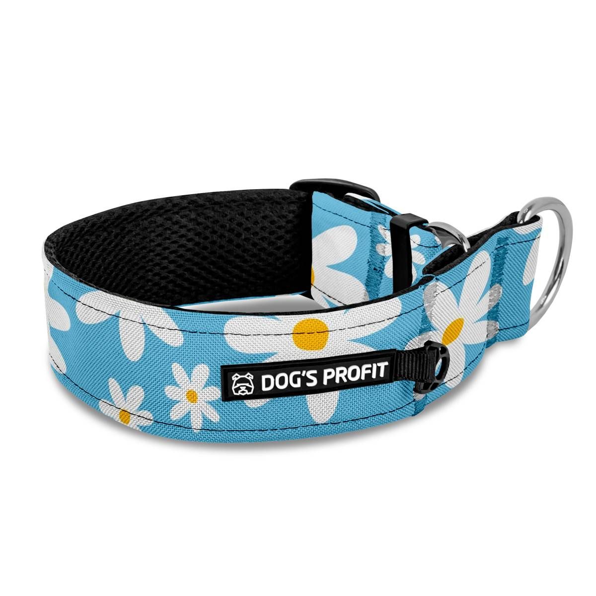 Obroża półzaciskowa dla charta Daisy Blue