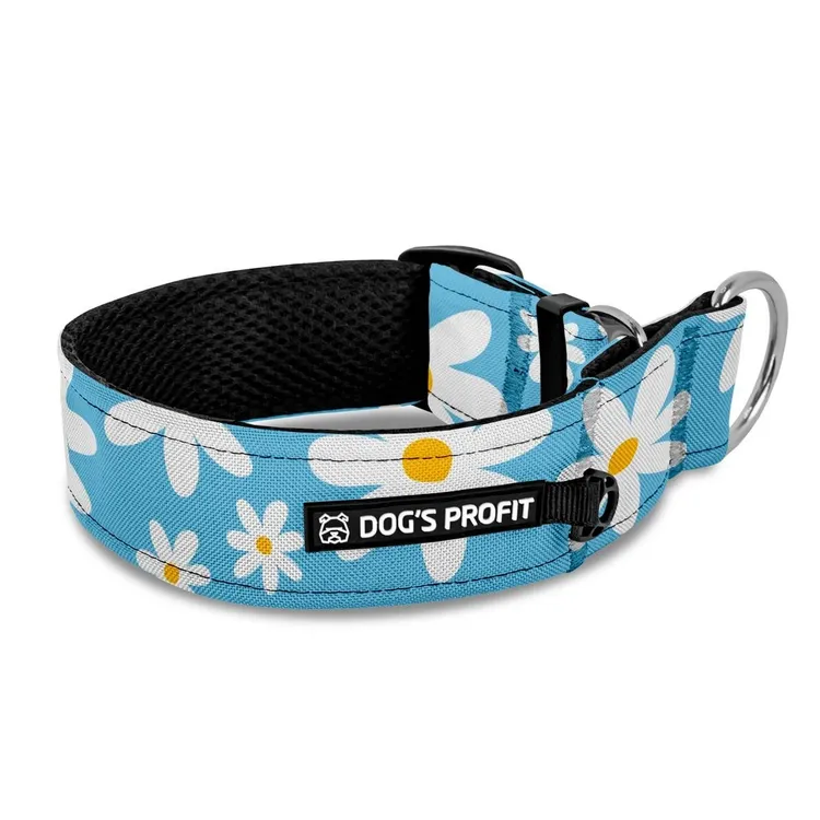 Obroża półzaciskowa dla charta Daisy Blue XS|25mm (25-30cm)