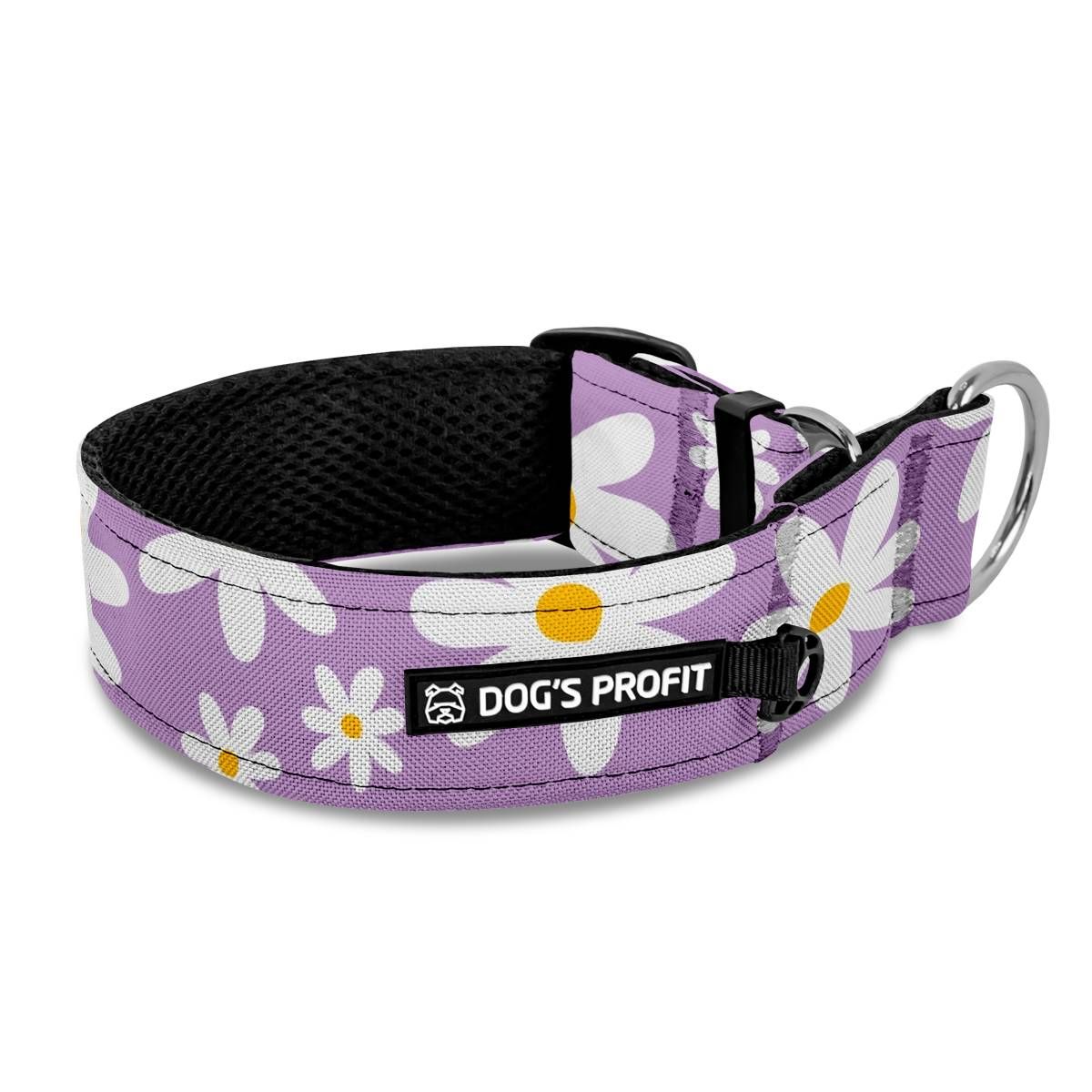 Obroża półzaciskowa dla charta Daisy Purple