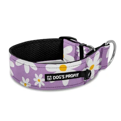 Obroża półzaciskowa dla charta Daisy Purple