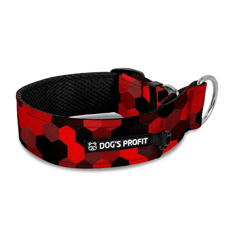 Obroża półzaciskowa dla charta DOG&ROLL XS|25mm (25-30cm)