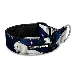 Obroża półzaciskowa dla charta Ekspres Polarny