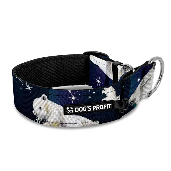 Obroża półzaciskowa dla charta Ekspres Polarny