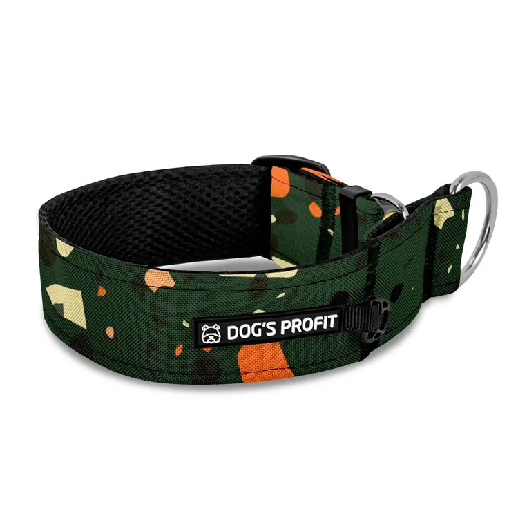 Obroża półzaciskowa dla charta Forrest XS|25mm (25-30cm)