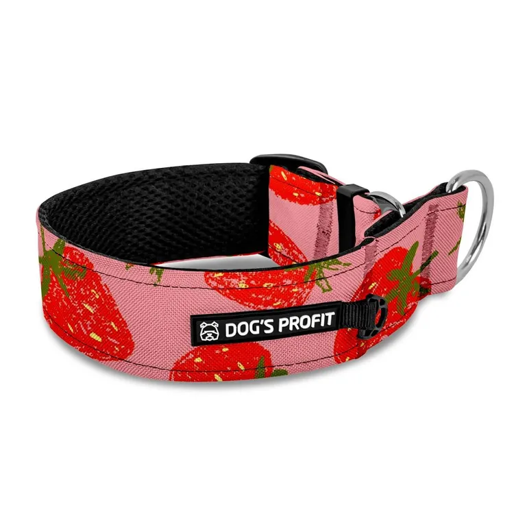 Obroża półzaciskowa dla charta FRAGOLA XS|25mm (25-30cm)