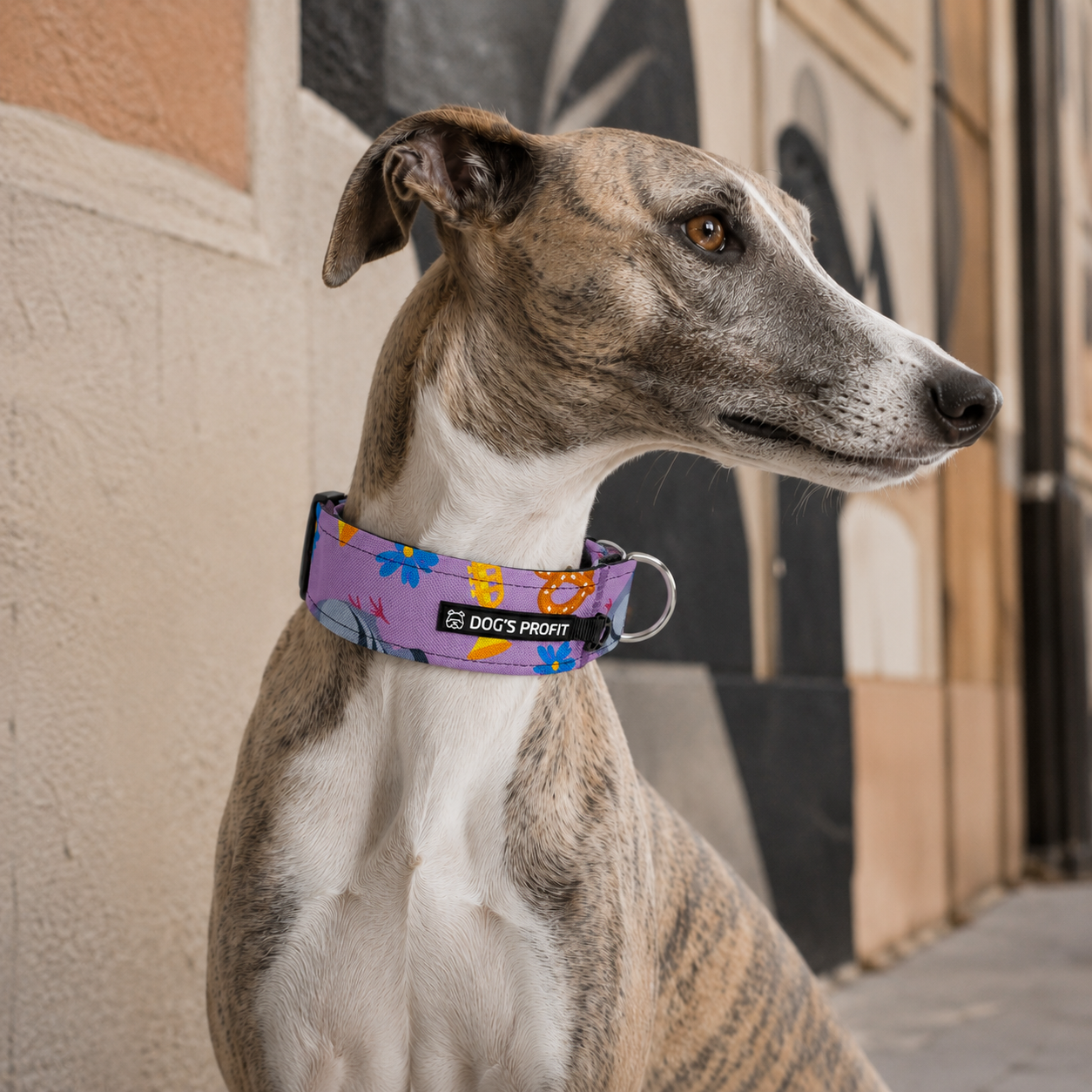 Obroża półzaciskowa dla charta KRAKWOOF S|40mm (28-35cm)