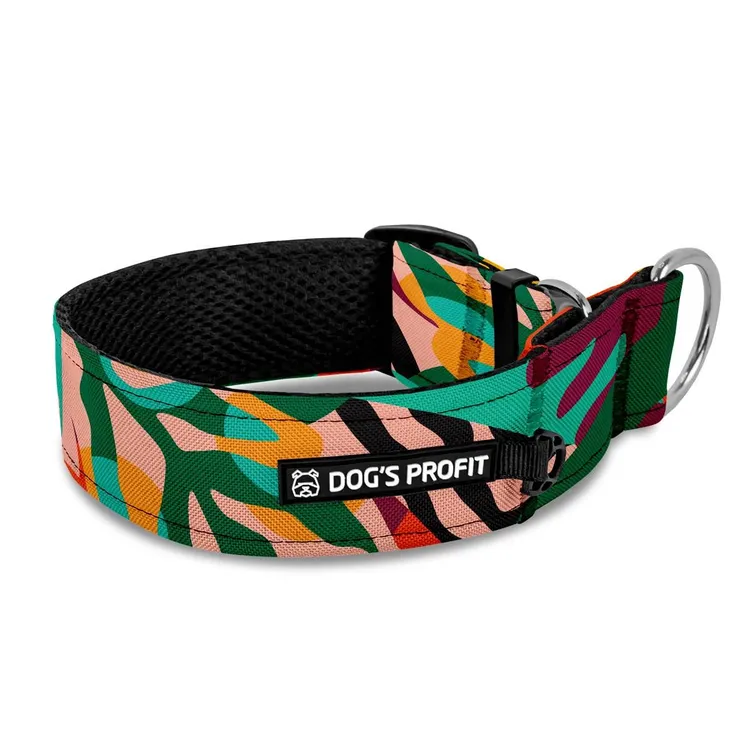 Obroża półzaciskowa dla charta Mexico XS|25mm (25-30cm)