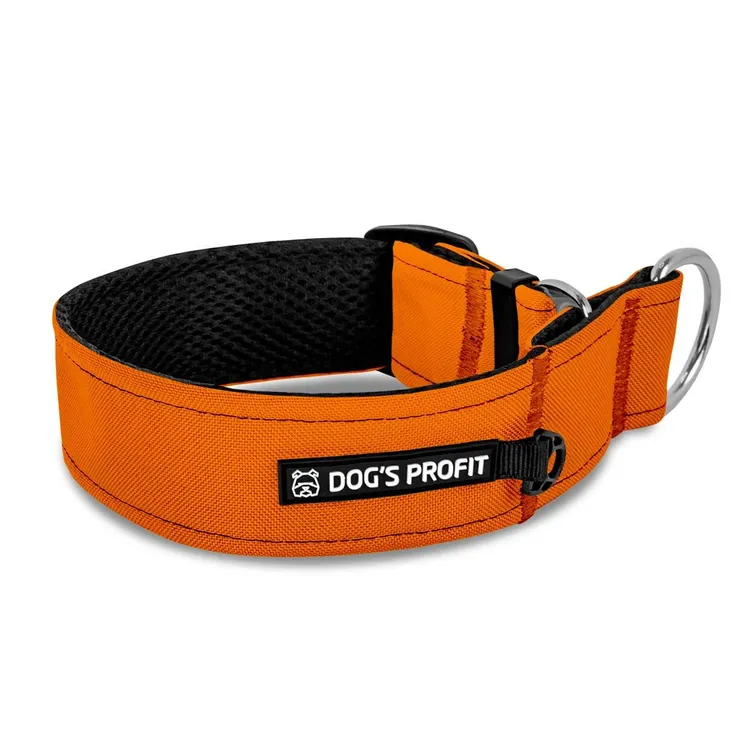 Obroża półzaciskowa dla charta POMARAŃCZOWA JAK POMARAŃCZA XS|25mm (25-30cm)