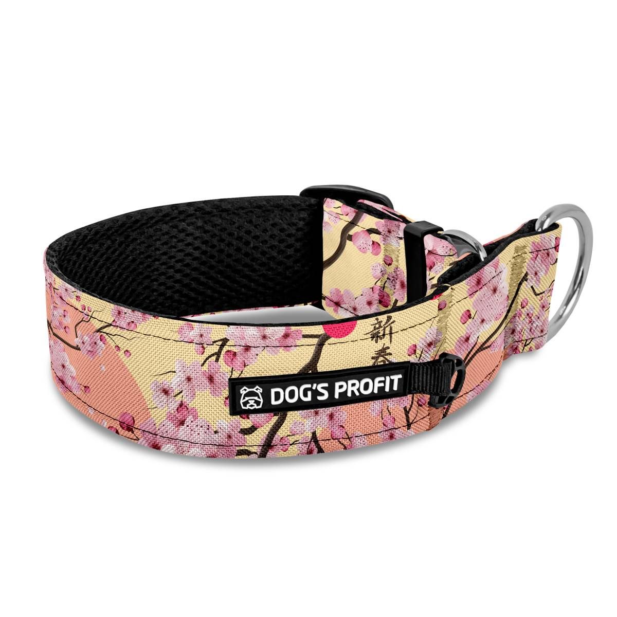 Obroża półzaciskowa dla charta Sakura