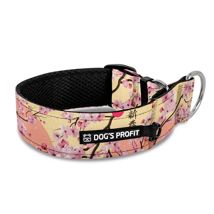 Obroża półzaciskowa dla charta Sakura XS|25mm (25-30cm)